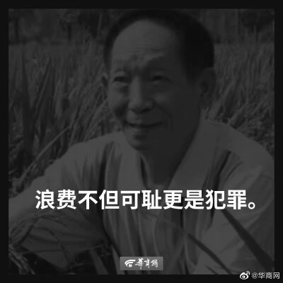 沙雕表情包