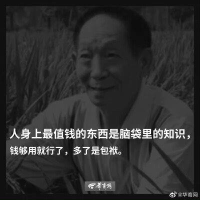 沙雕表情包