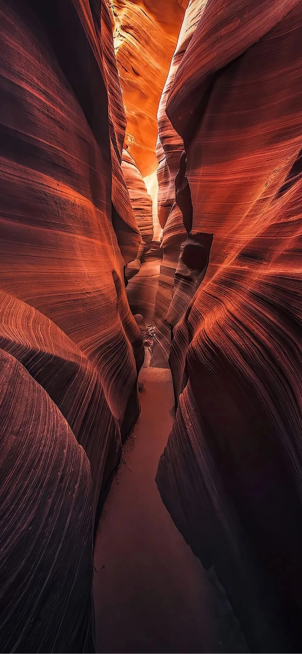 风景壁纸