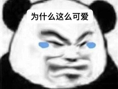 表情包