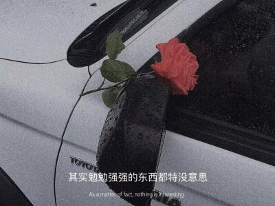 你是朵花，才觉得春天会离开你，如果你是春天，就永远有花
来自微博 侵权删除