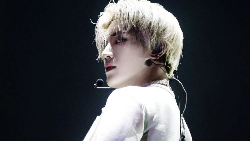 <巫山>李泰容橙光背景/尺寸已调