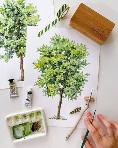 绘画 手绘 水彩 树