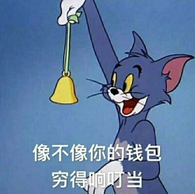 Tom表情包