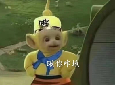 “买西瓜的时候不可以拍拍打打，会惊动住在里面的夏天”
#天线宝宝之唐僧版>3<