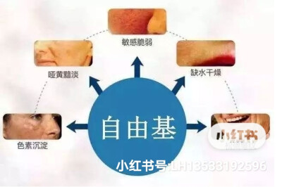 美佳妍竹叶精华美肌保湿凝露