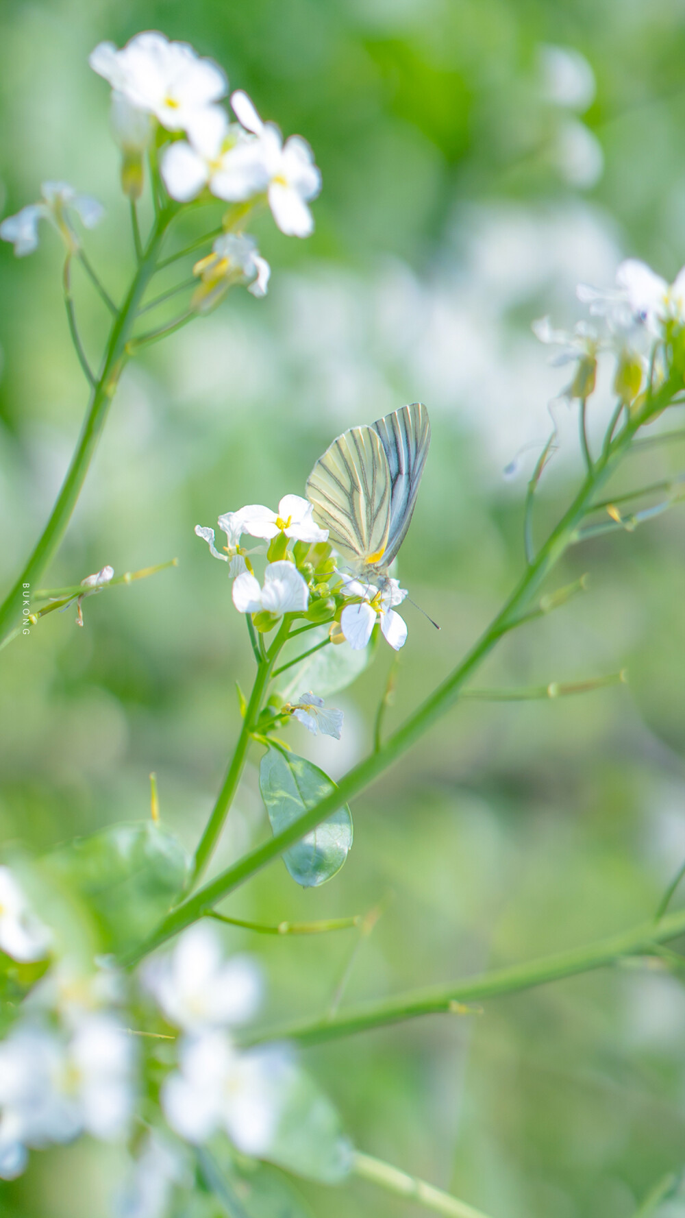 1000_1777竖版 竖屏