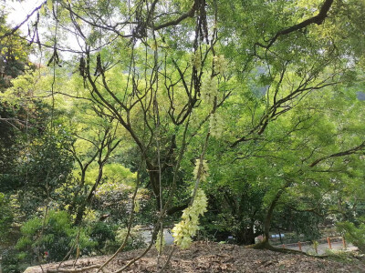 雨後陽光好蓝