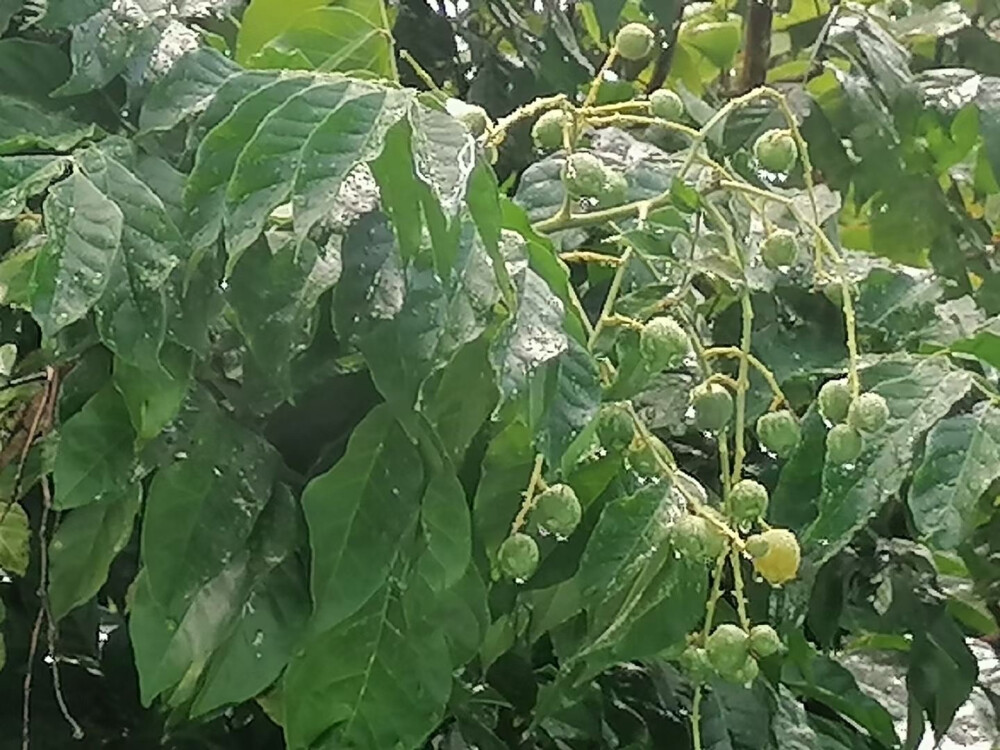 雨後陽光好蓝