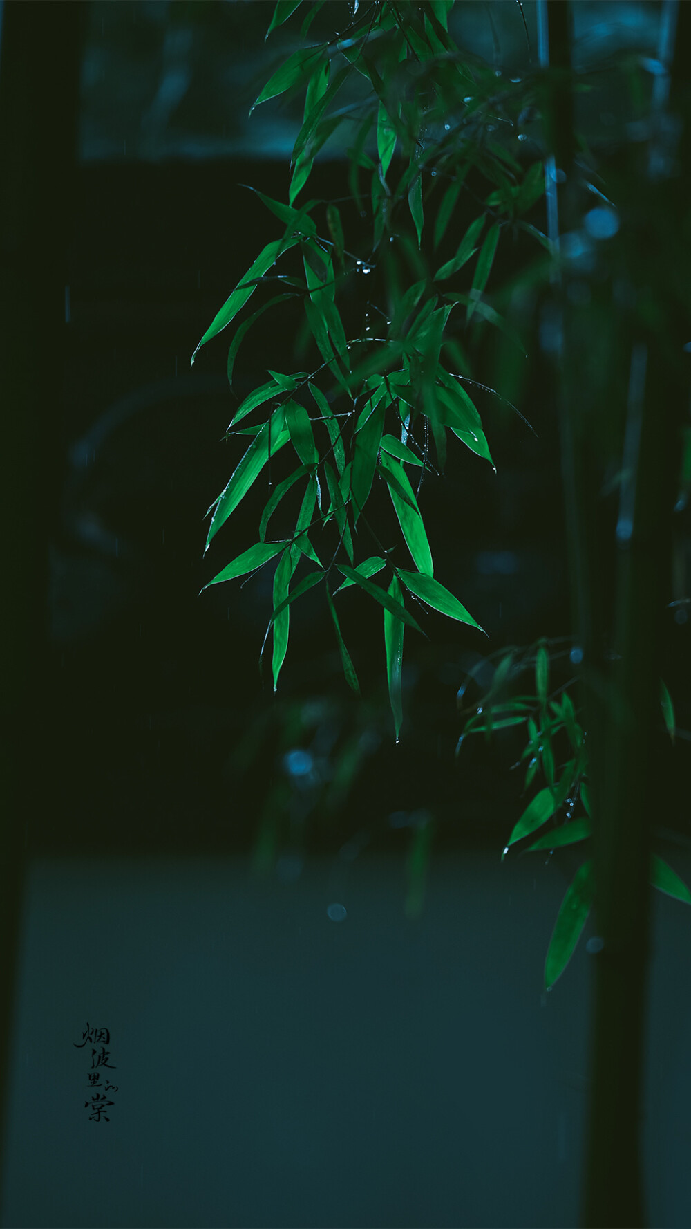 枕上诗书闲处好，门前风景雨来佳。
