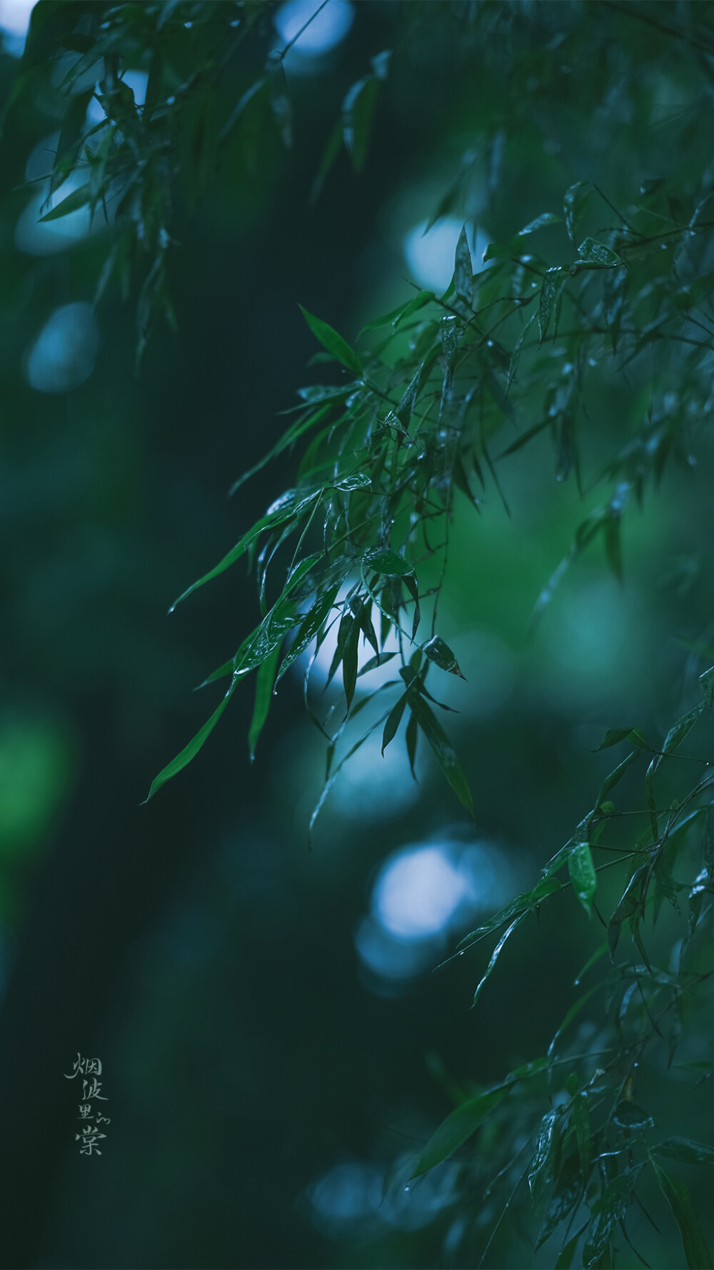 枕上诗书闲处好，门前风景雨来佳。
