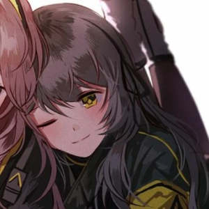 ump45