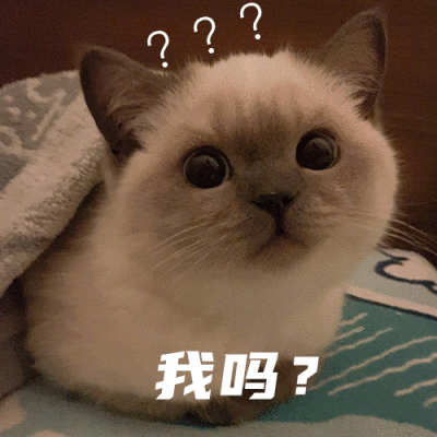 可爱表情，猫咪，挖煤，大橘为重