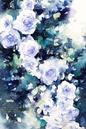 蓝玫瑰丛