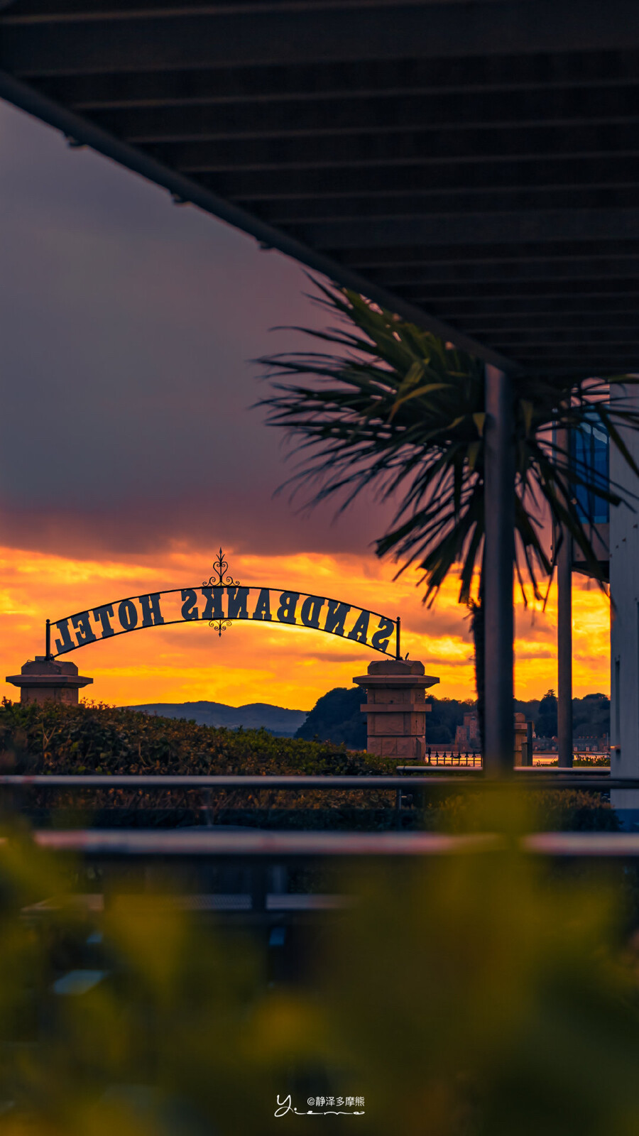 你是青山沿途有夕阳举杯
©️静泽多摩熊