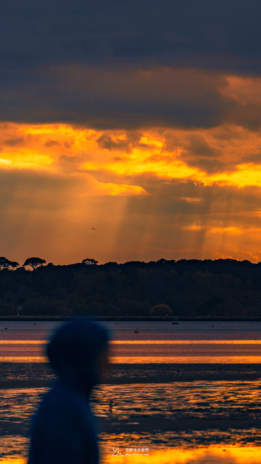 你是青山沿途有夕阳举杯
©️静泽多摩熊