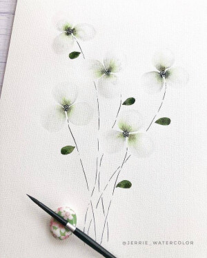 植物绘，ins：jerrie_watercolor ​