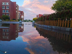 学校景色
侵权删