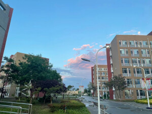 学校景色
侵权删