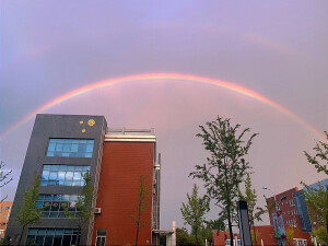 学校景色
侵权删