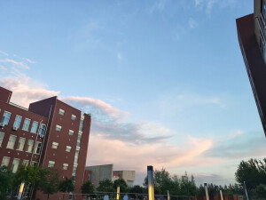 学校景色
侵权删