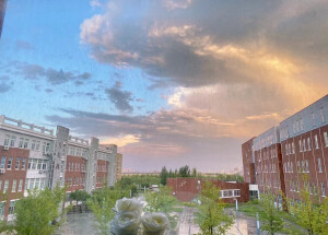 学校景色
侵权删