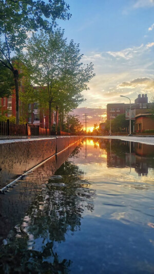 学校景色
侵权删