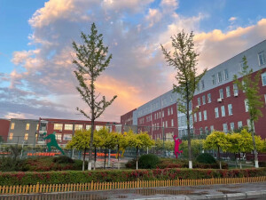 学校景色
侵权删