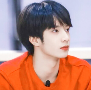 刘耀文篇。
九敏专辑求改。