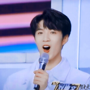 刘耀文篇。
九敏专辑求改。