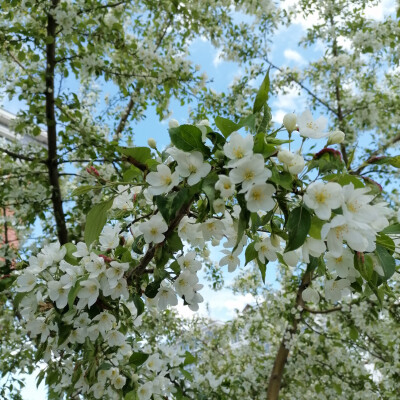 一年又一年，匆匆又夏天