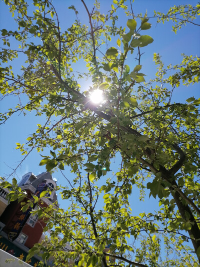 一年又一年，匆匆又夏天