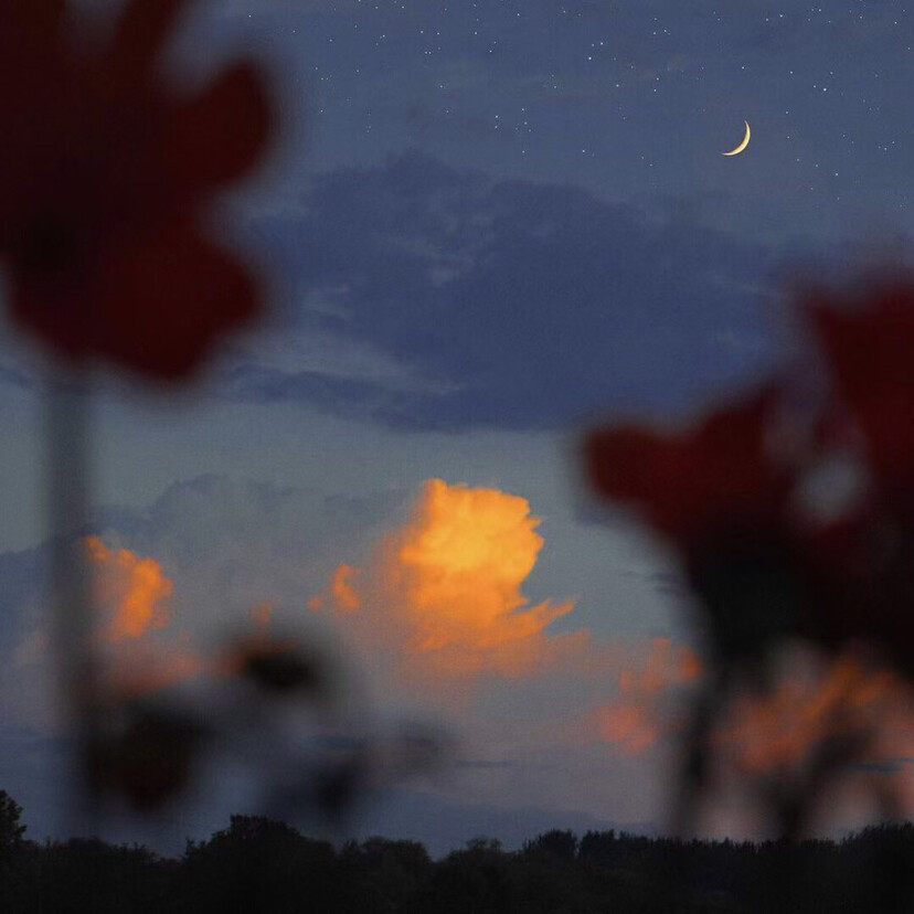 星空 壁纸 背景图✨