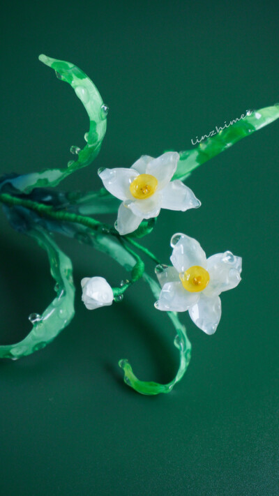 送你一棵永不凋谢的水仙