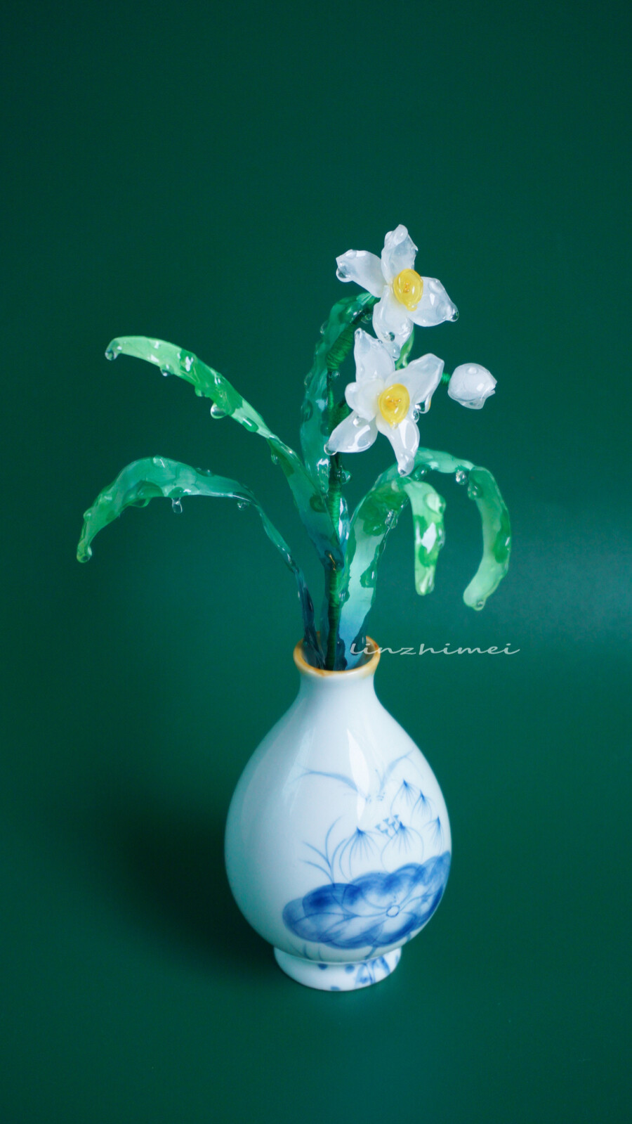 送你一棵永不凋谢的水仙