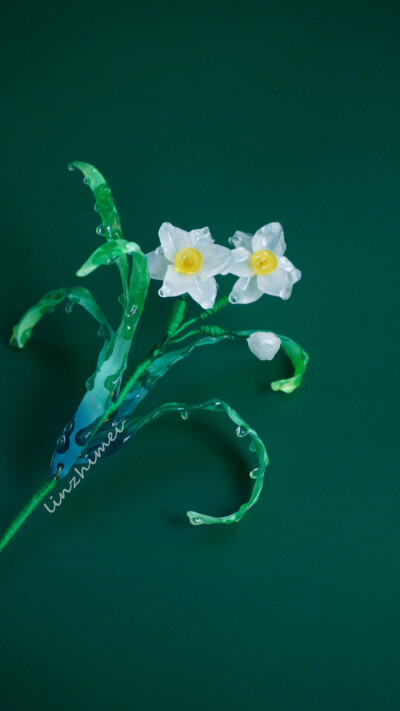 送你一棵永不凋谢的水仙