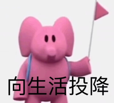 粉色小象