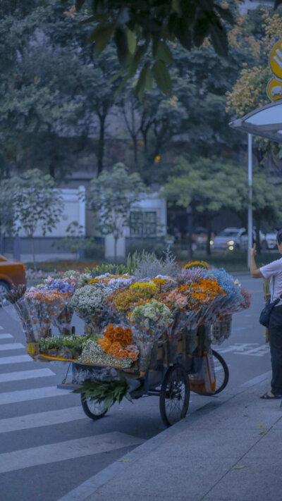 风景 壁纸