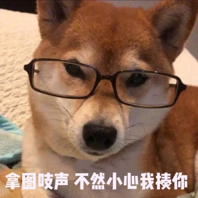 表情包