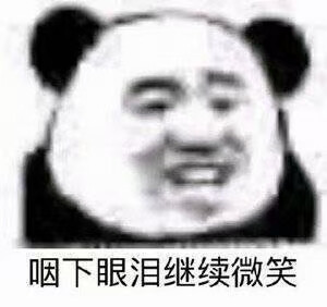 哈哈哈哈哈哈哈哈表情包