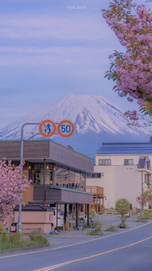 富士山下

摄影：@MoLana ​