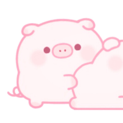 甜宝小猪