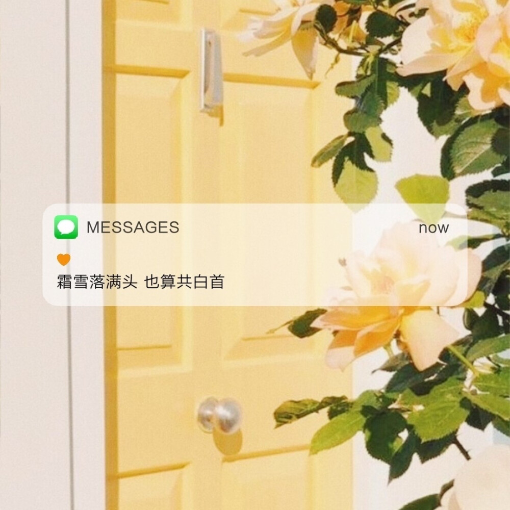 Messages文案 | 朋友圈背景图