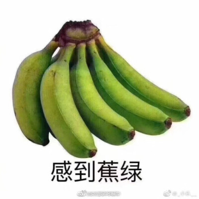 表情包