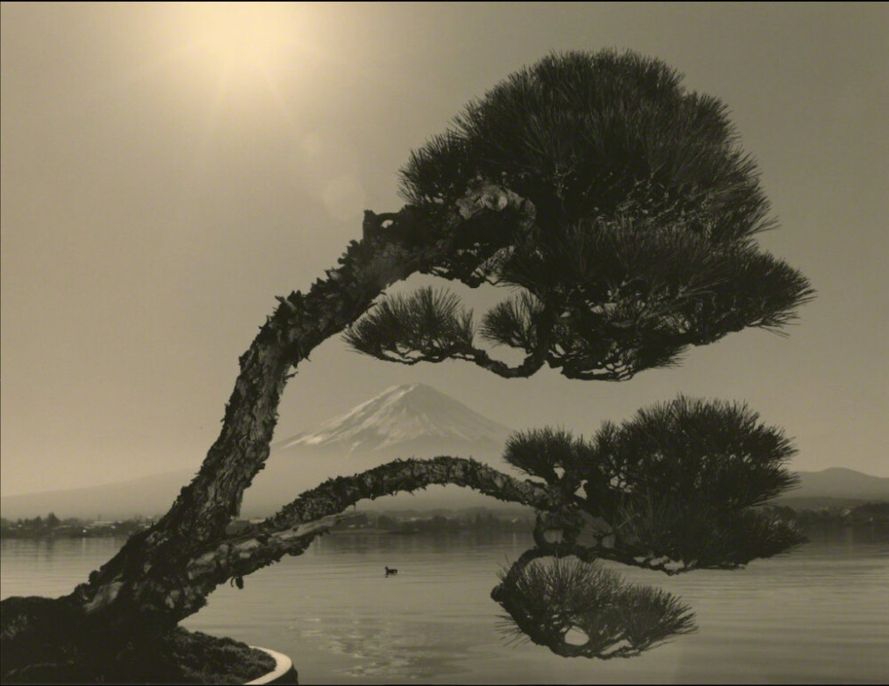 Masao Yamamoto