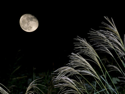 夜总是让人沉缅，长夜阑珊