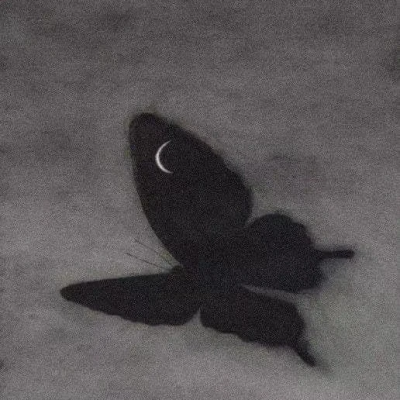 그래서fly like a butterfly、