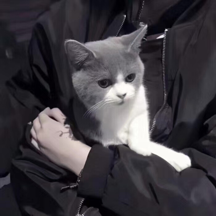 没逃过暴风雨的夜晚 注定都是浑浑噩噩