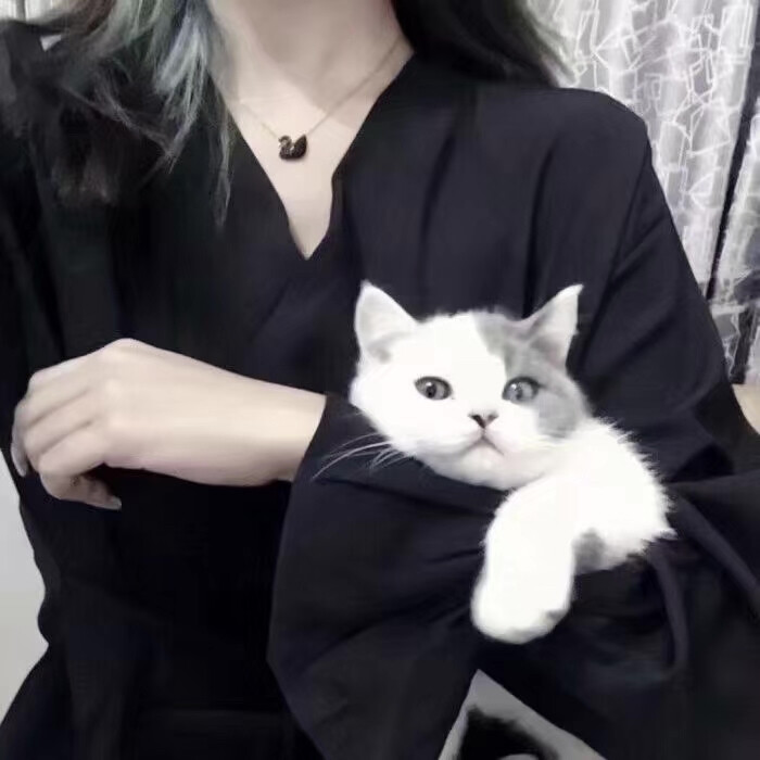 没逃过暴风雨的夜晚 注定都是浑浑噩噩