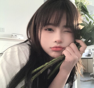 二传注明沈念卿